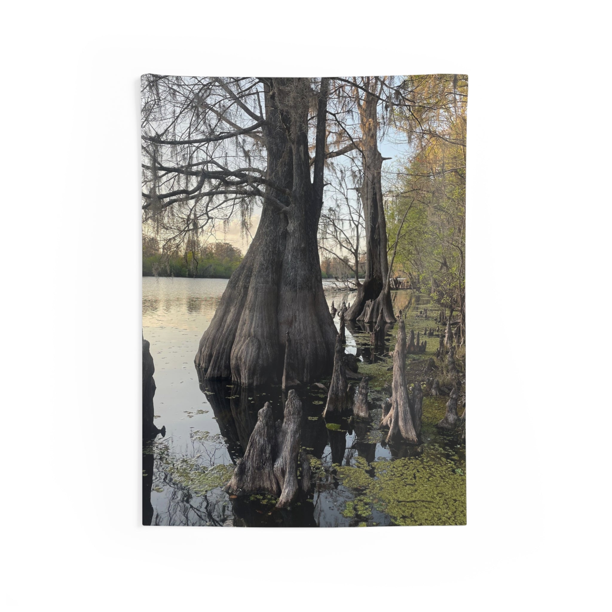 Swamp Wall Tapestry — Moody Nature Scene Décor