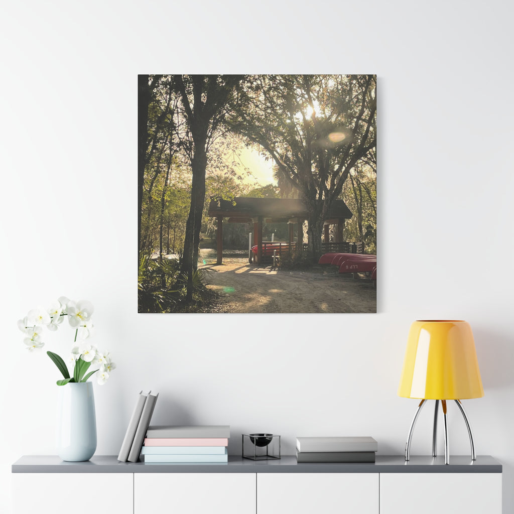 Hazy Morning Kayak - Sunlit Forest Matte Stretched Wall Art