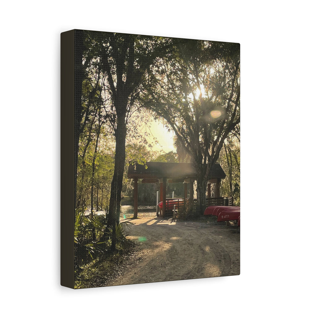 Hazy Morning Kayak - Sunlit Forest Matte Stretched Wall Art