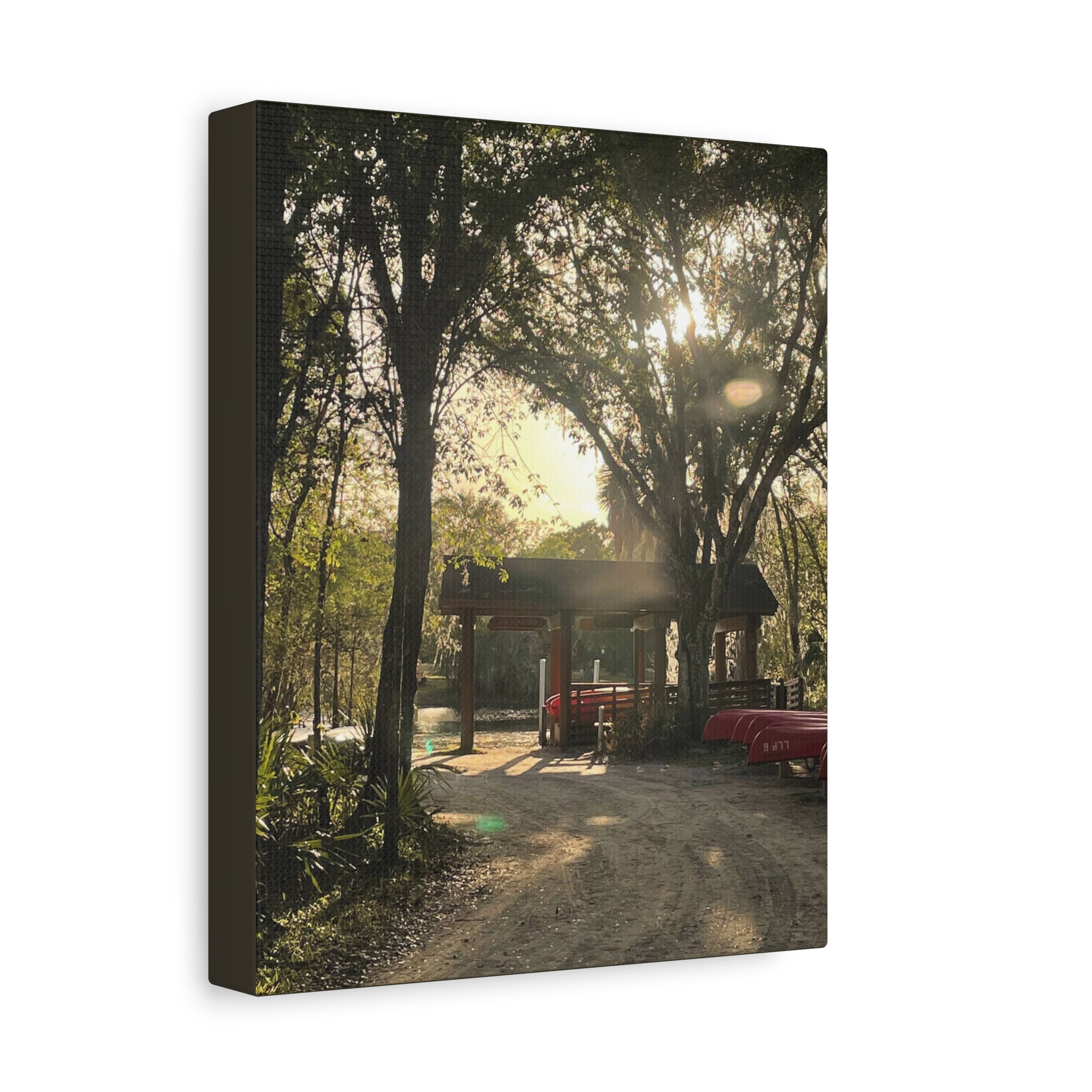 Hazy Morning Kayak - Sunlit Forest Matte Stretched Wall Art