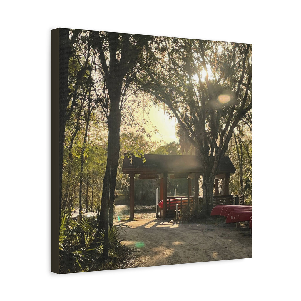 Hazy Morning Kayak - Sunlit Forest Matte Stretched Wall Art