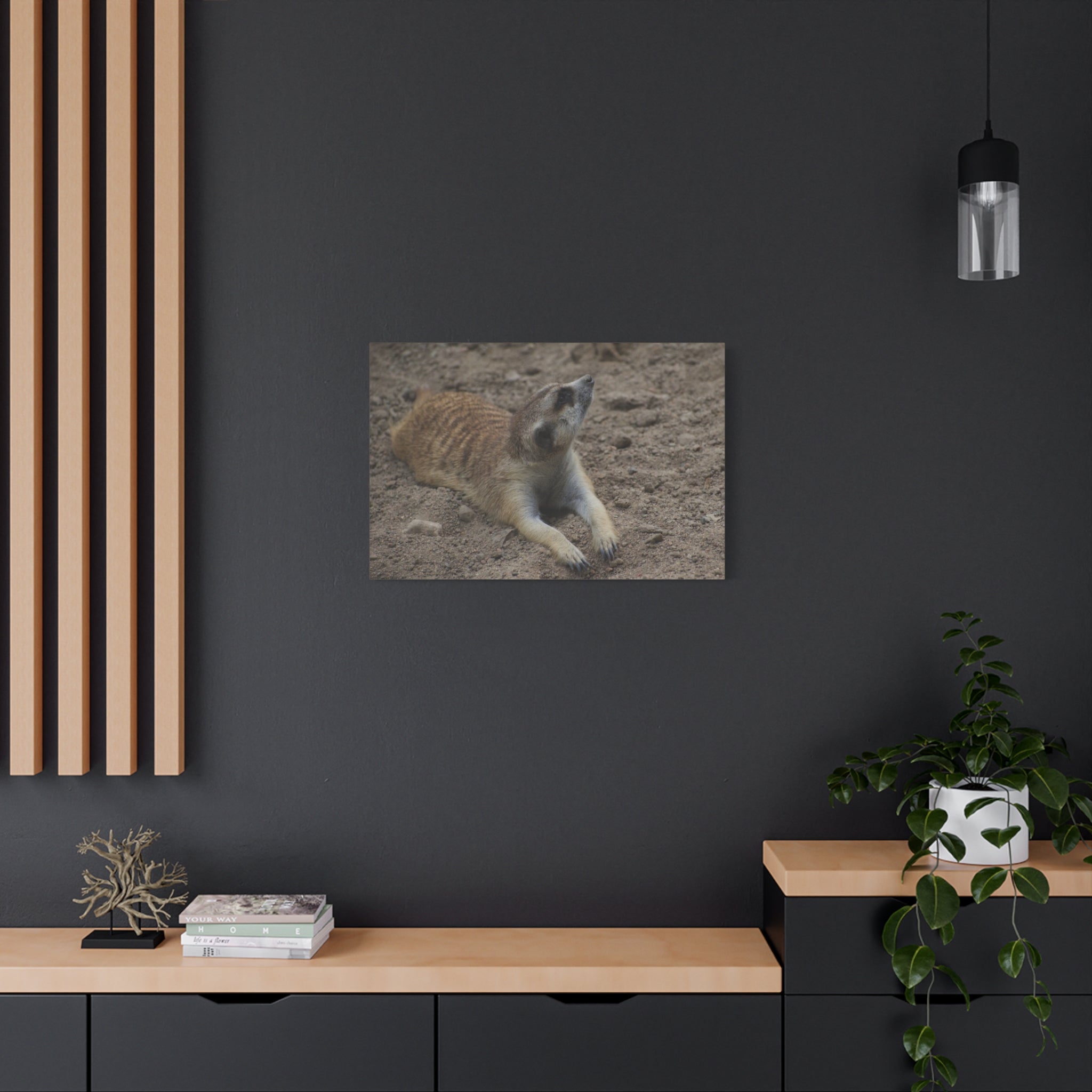 Meerkat Stretch Canvas Wall Art – Relaxed Desert Wildlife Print