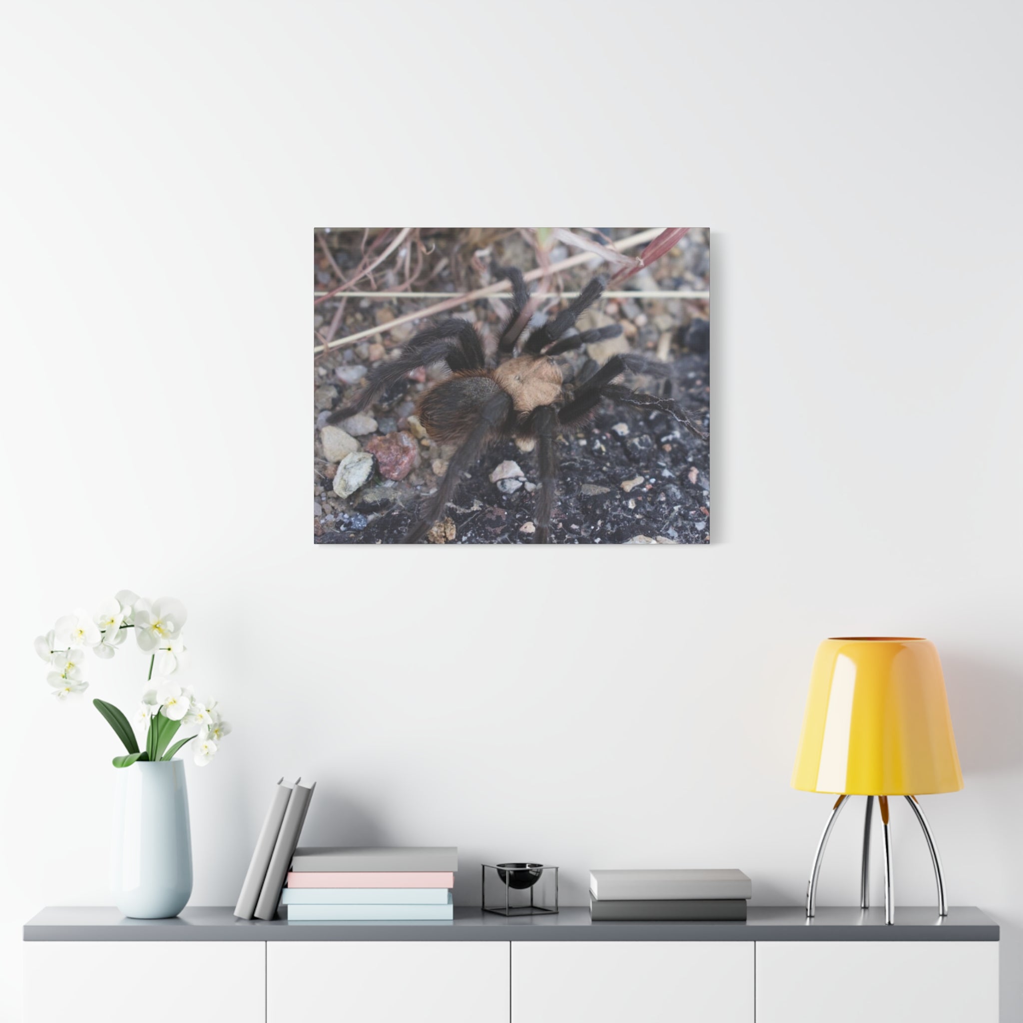 Tarantula Canvas Print — Matte Stretched Wall Art
