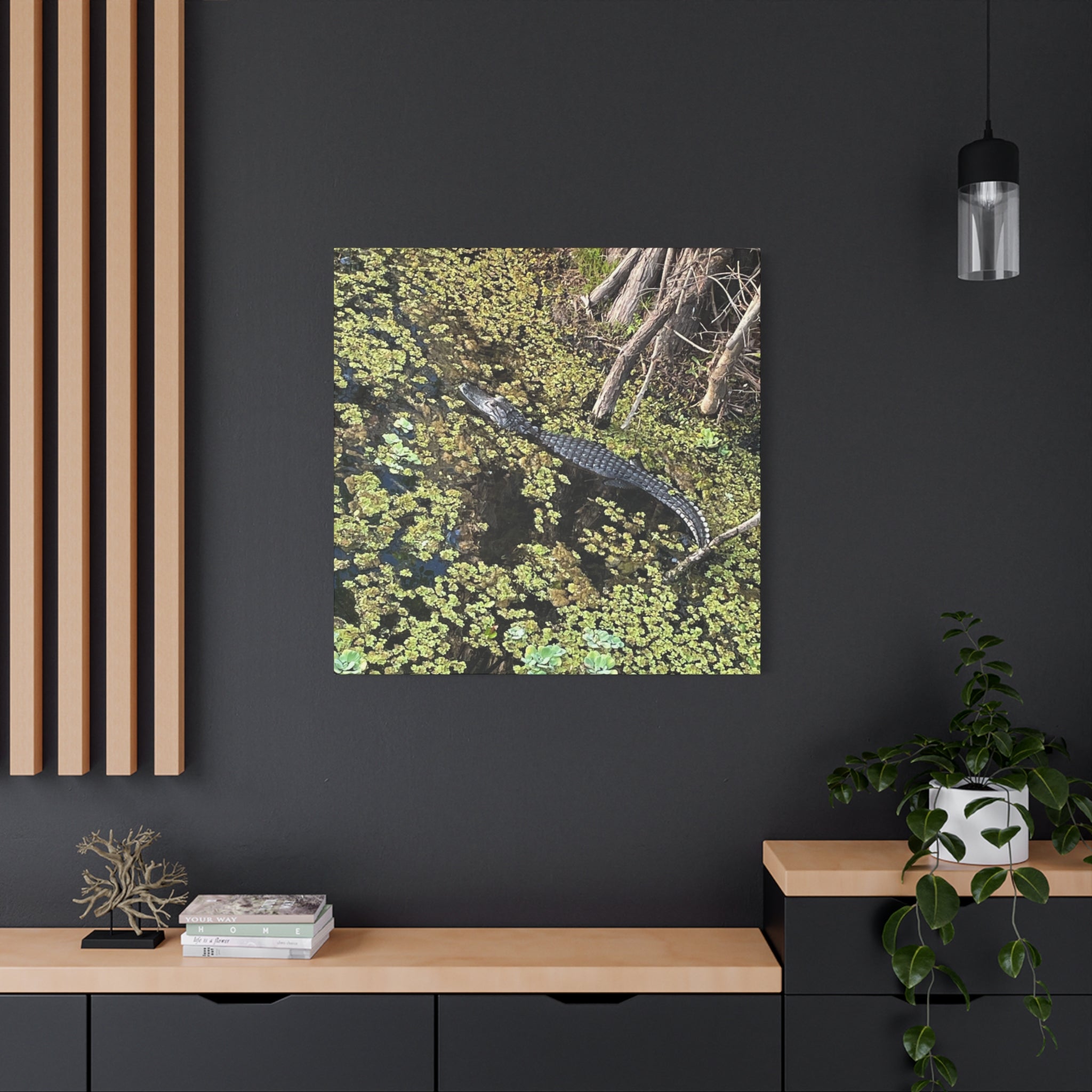 Alligator Photography Canvas Print — Matte Stretched Wall Art