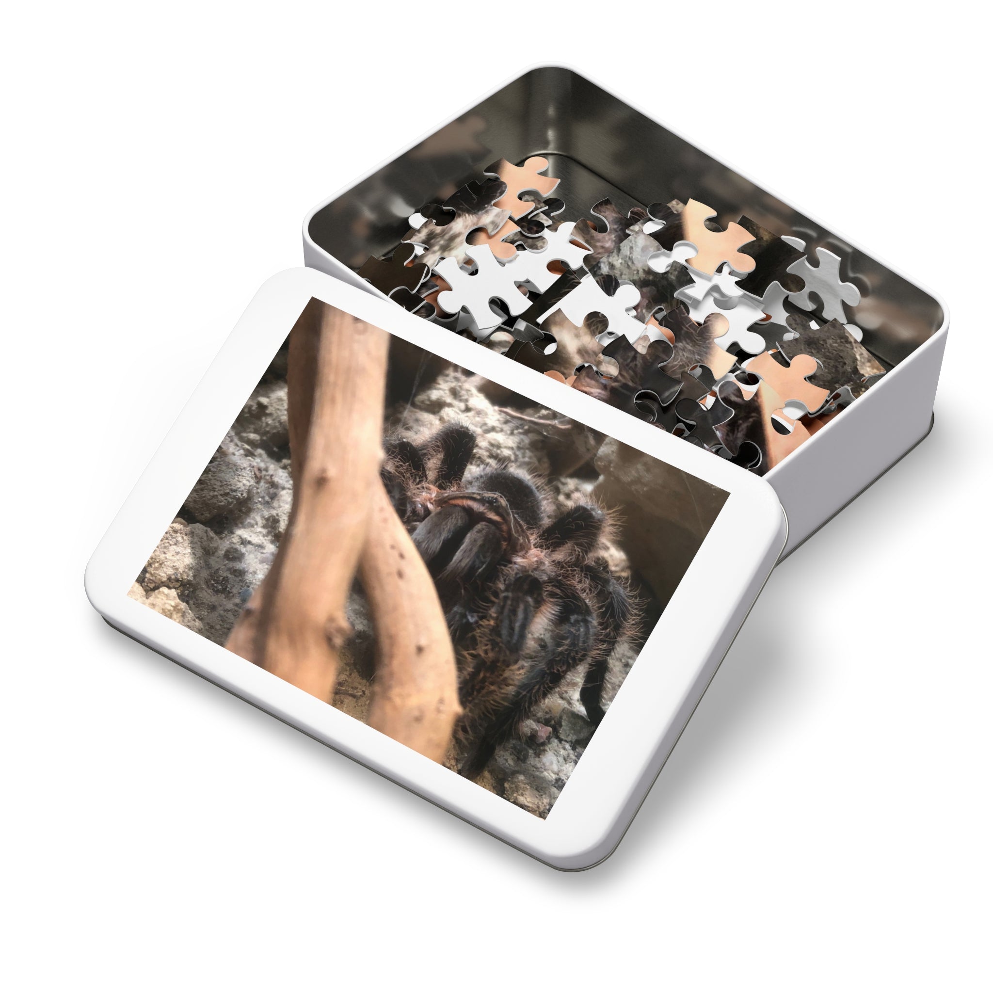 Tarantula Jigsaw Puzzle with Tin – Realistic Arachnid Puzzle for Enthusiasts