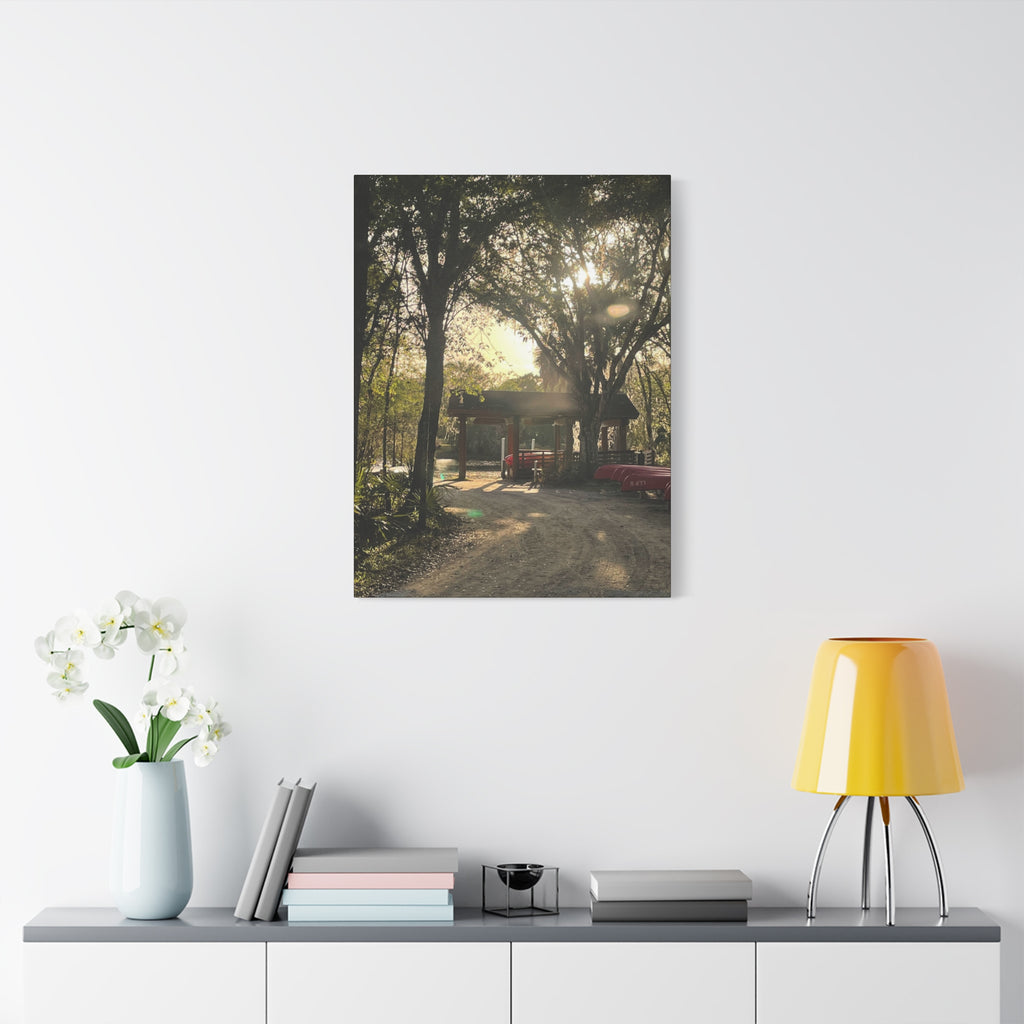 Hazy Morning Kayak - Sunlit Forest Matte Stretched Wall Art