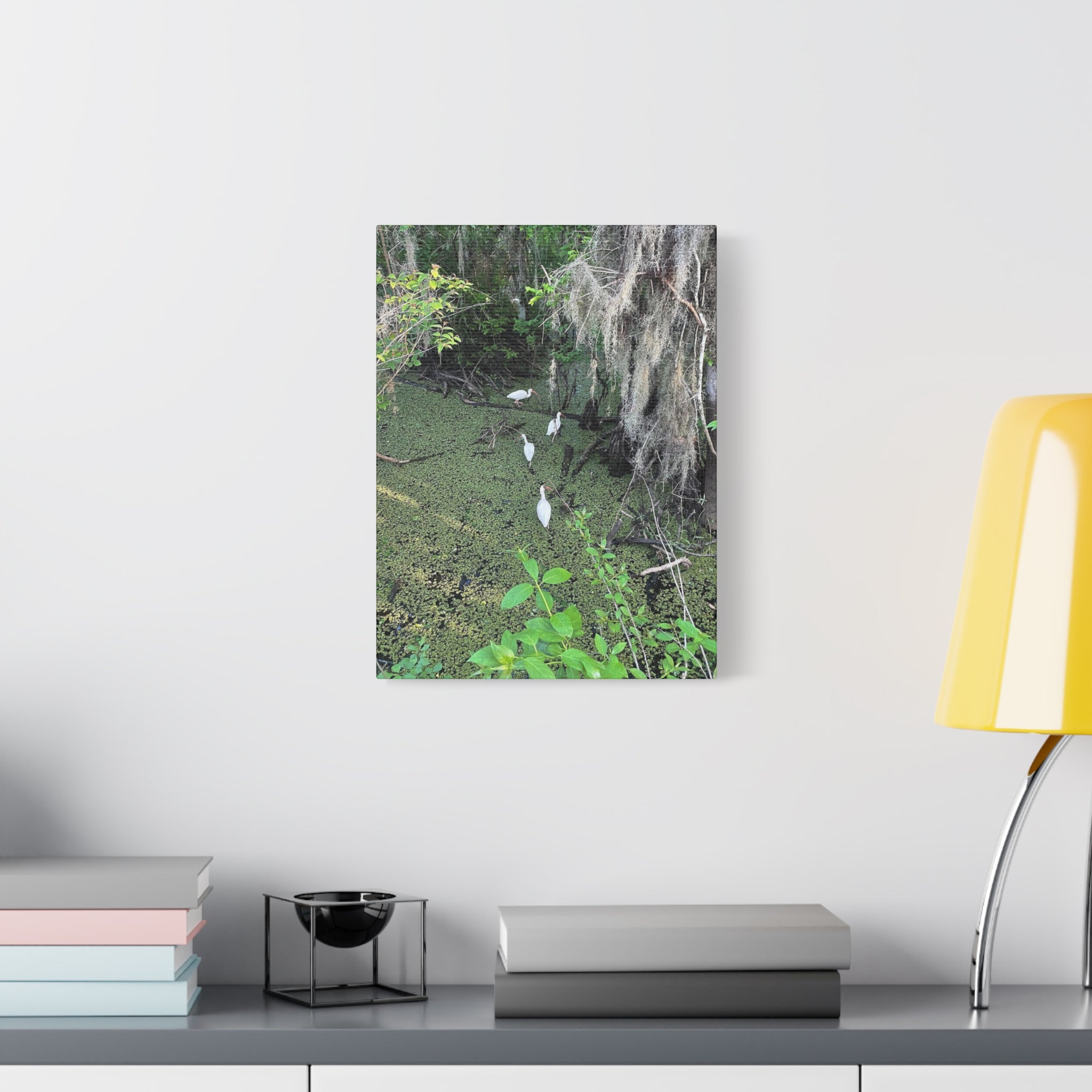 Swamp Egrets Canvas Print — Matte Stretched Nature Wall Art