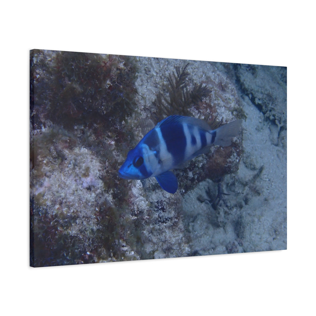 Indigo Hamlet Canvas Print — Underwater Matte Stretched Wall Art
