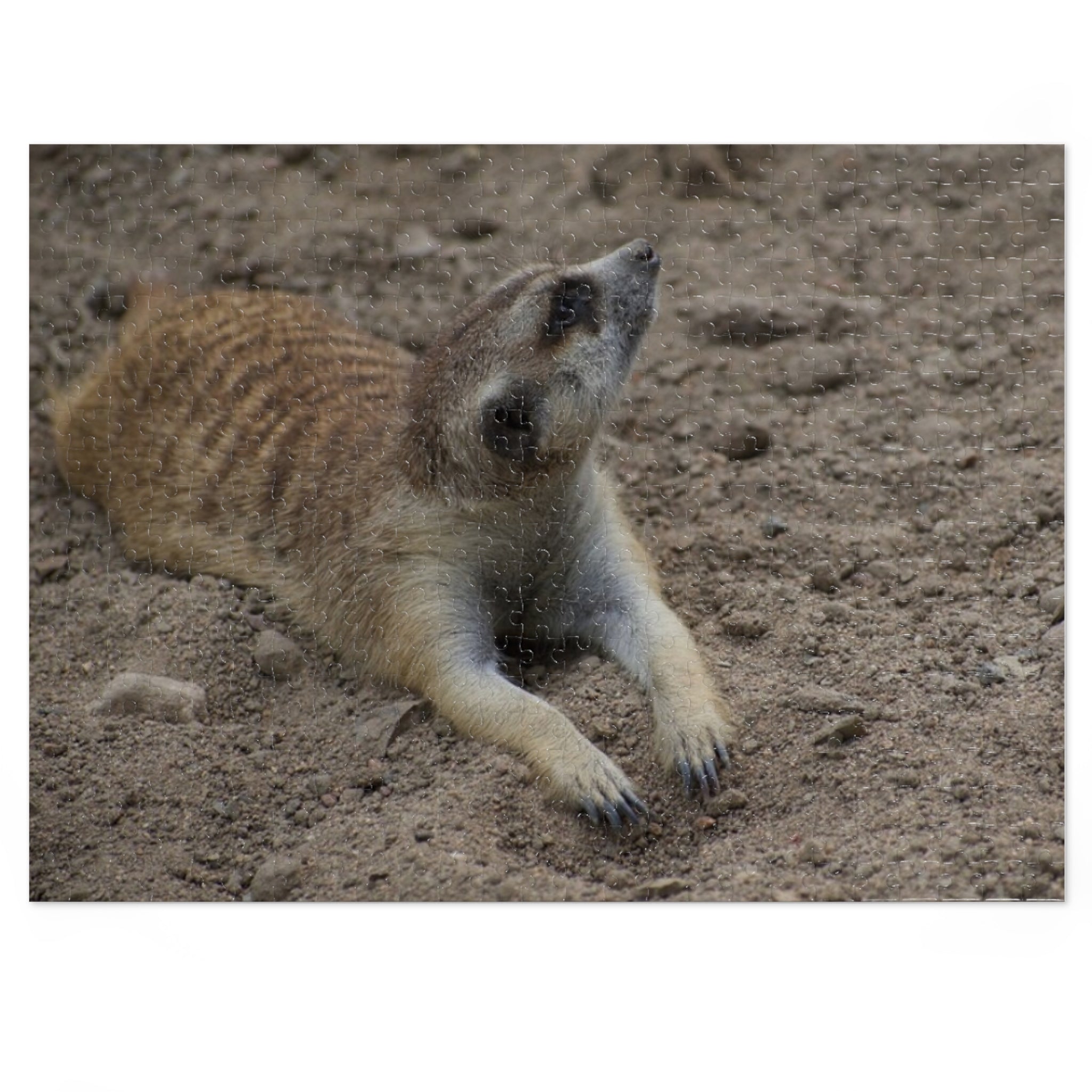 Meerkat Jigsaw Puzzle with Tin – Wildlife Puzzle Gift