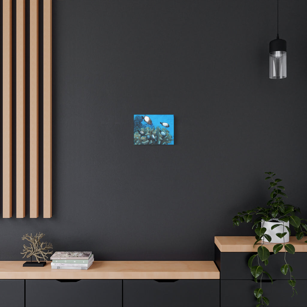Underwater Coral Reef Canvas Wall Art — Tropical Fish Matte Stretched Canvas