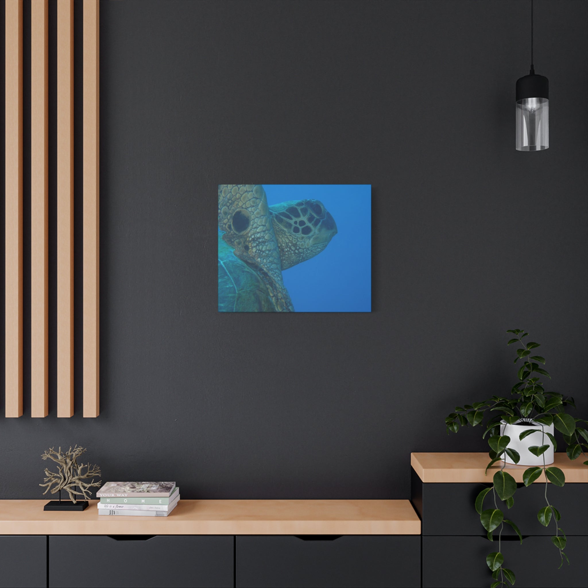 Green Sea Turtle Wall Canvas — Matte Stretched Ocean Photography Art