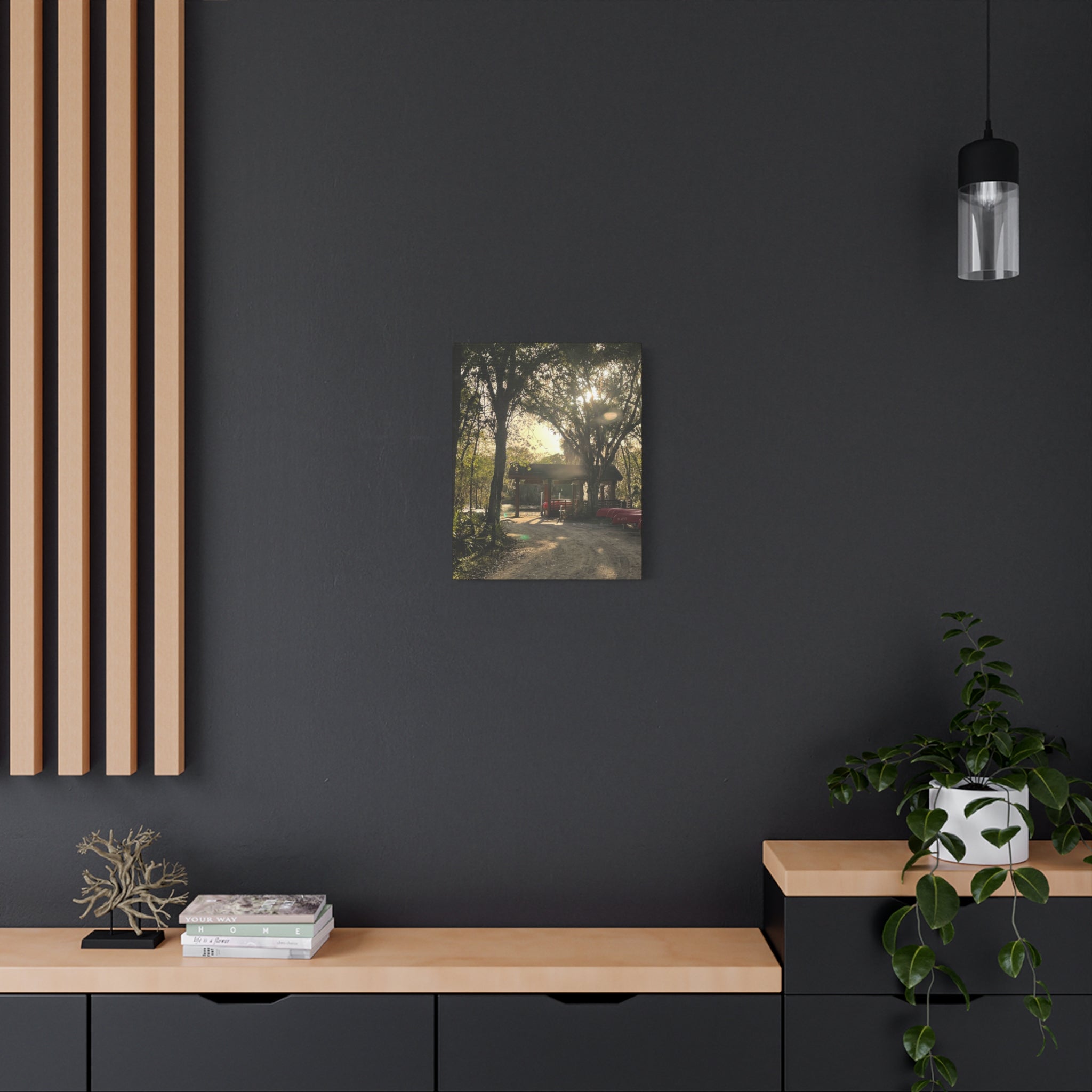 Hazy Morning Kayak - Sunlit Forest Matte Stretched Wall Art