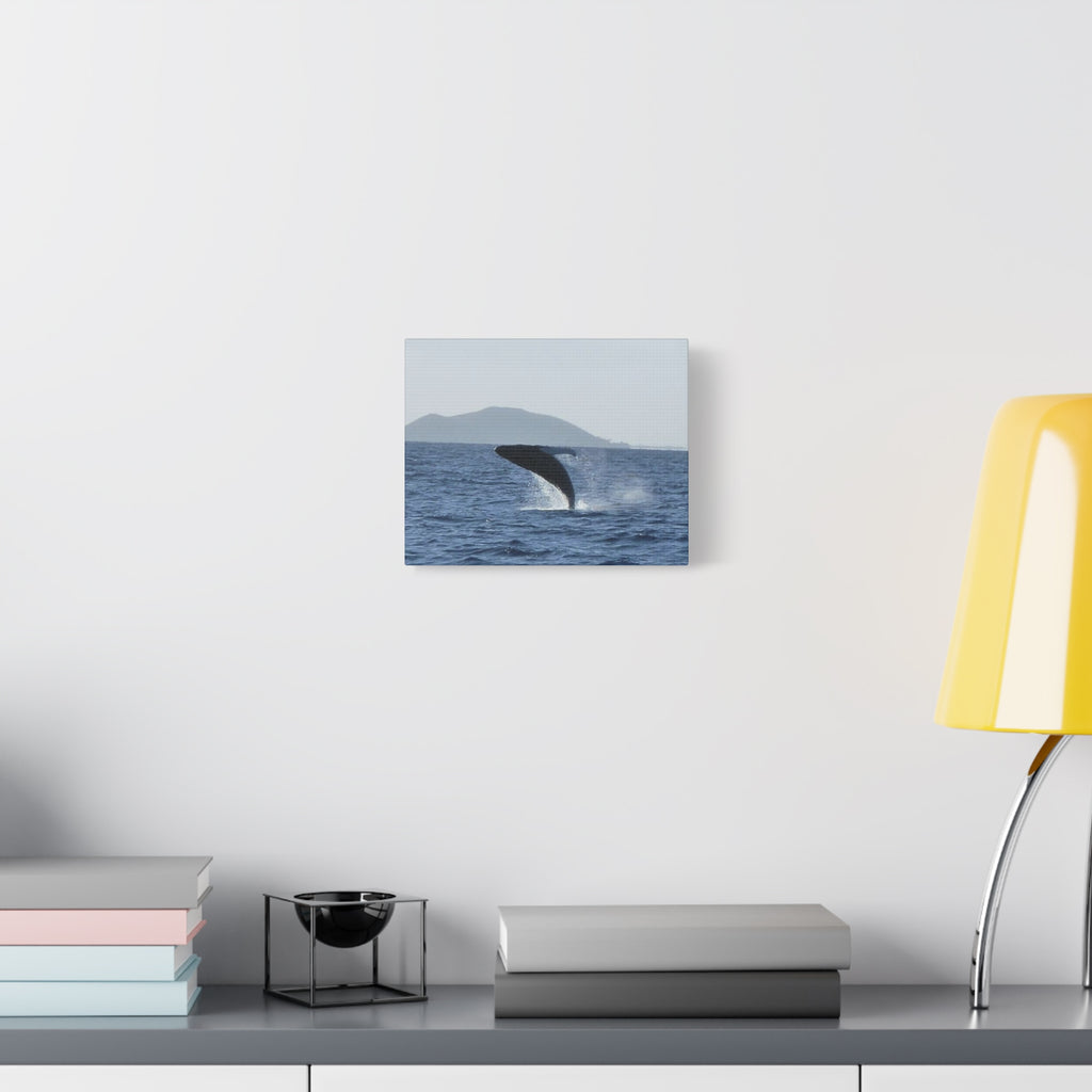 Humpback Whale Breach Matte Canvas Wall Art