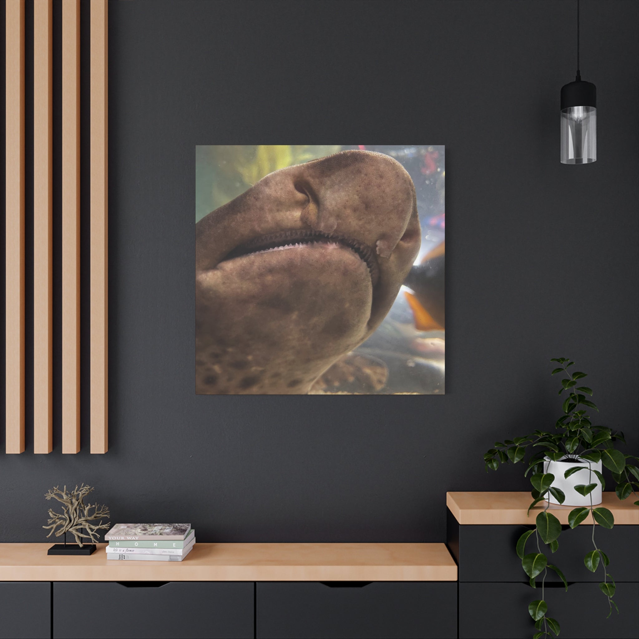 Swell Shark Close-Up Matte Canvas Print — Stretched 1.25" Wall Art