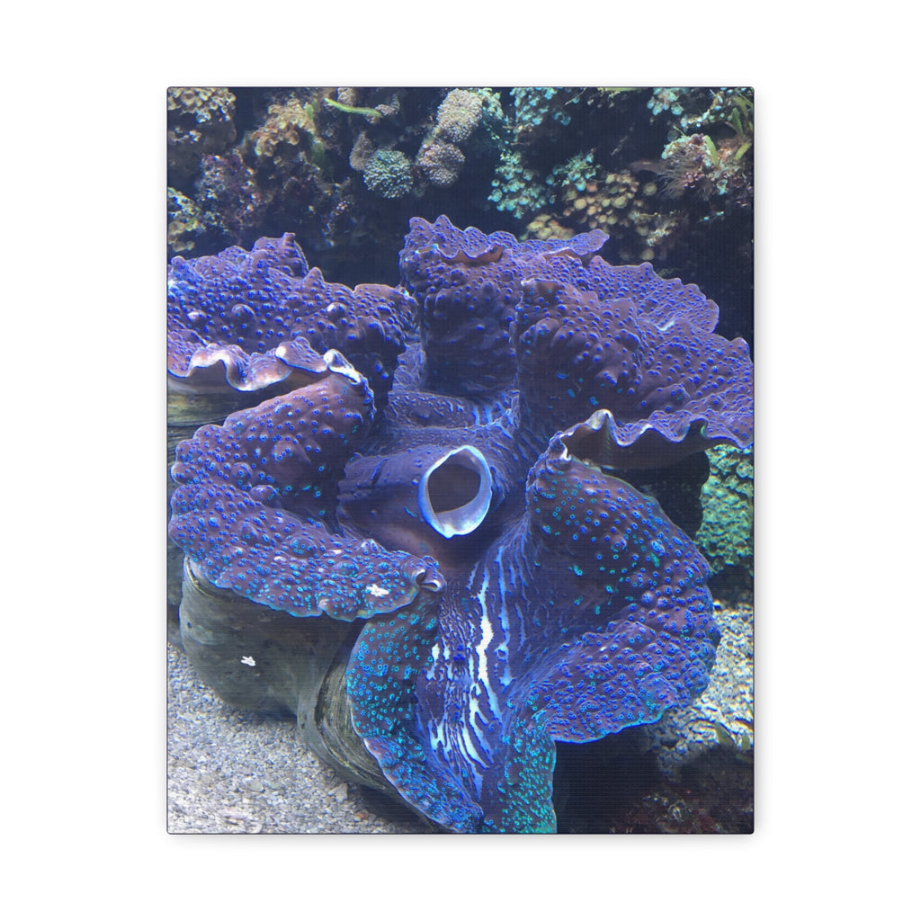 Blue Tridacna Clam Matte Canvas Print — Vibrant Ocean Coral Wall Art