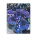 Blue Tridacna Clam Matte Canvas Print — Vibrant Ocean Coral Wall Art
