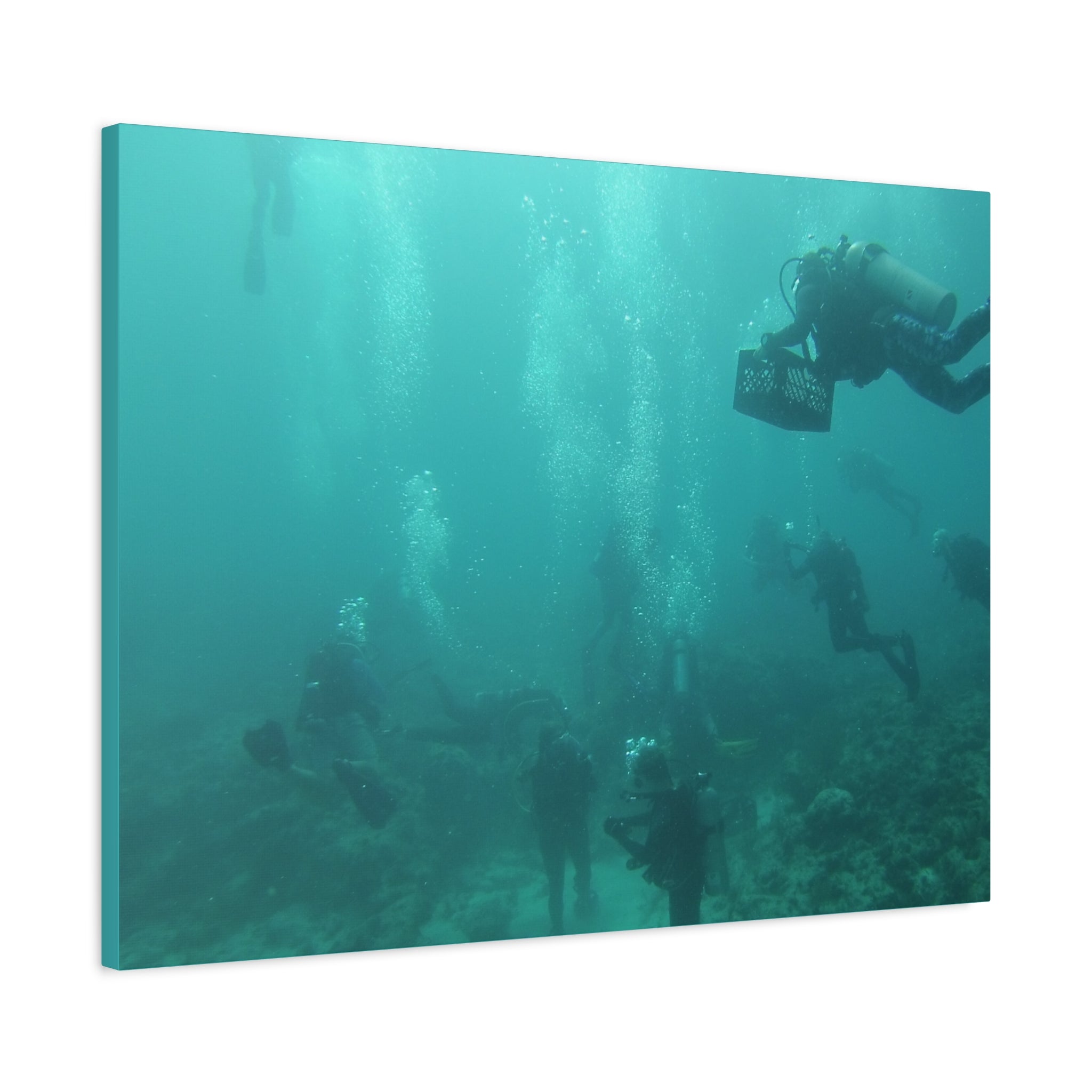 Diving over the Reef Matte Canvas
