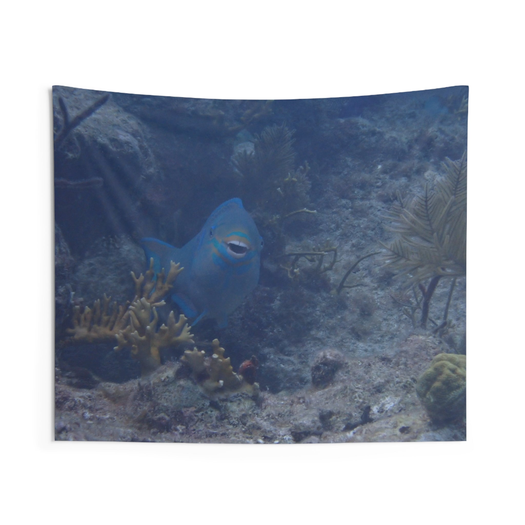 Underwater Parrotfish Wall Tapestry — Ocean Reef Scenery Decor