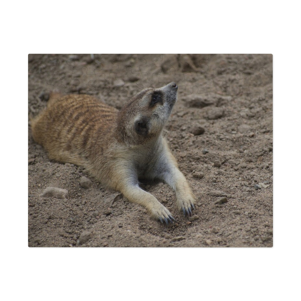 Meerkat Jigsaw Puzzle with Tin – Wildlife Puzzle Gift