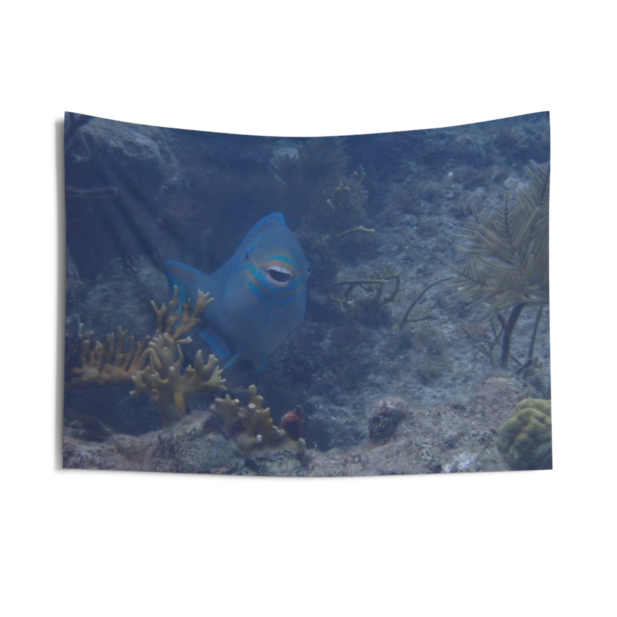 Underwater Parrotfish Wall Tapestry — Ocean Reef Scenery Decor