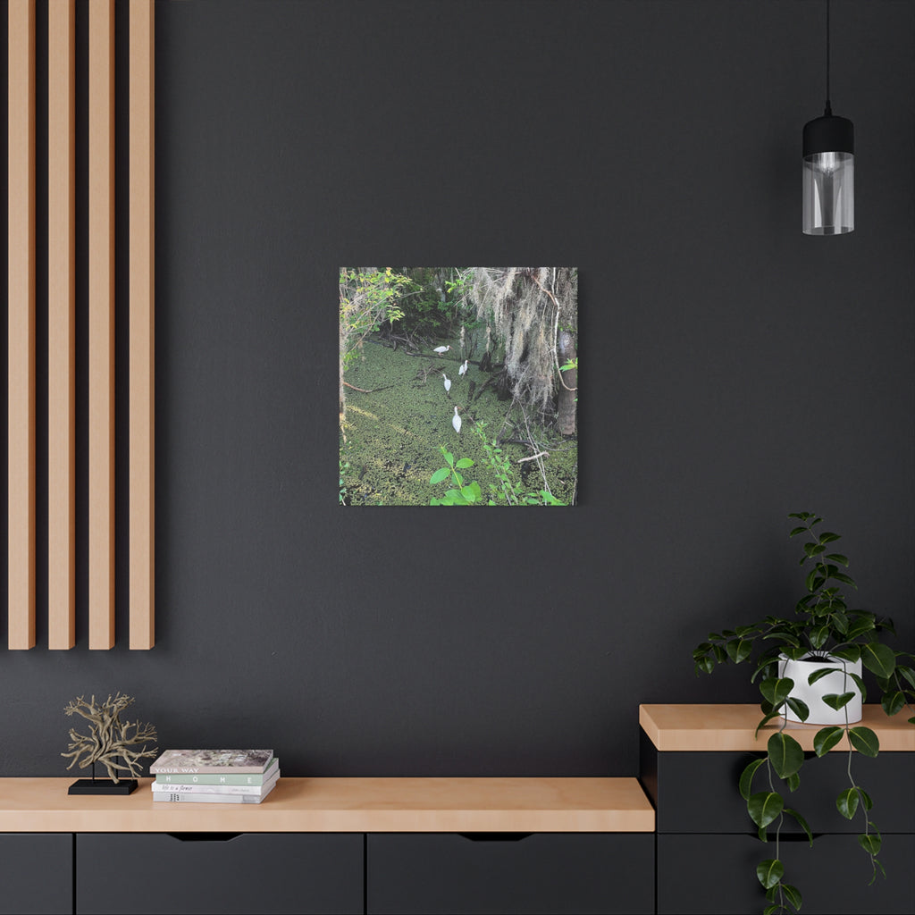 Swamp Egrets Canvas Print — Matte Stretched Nature Wall Art