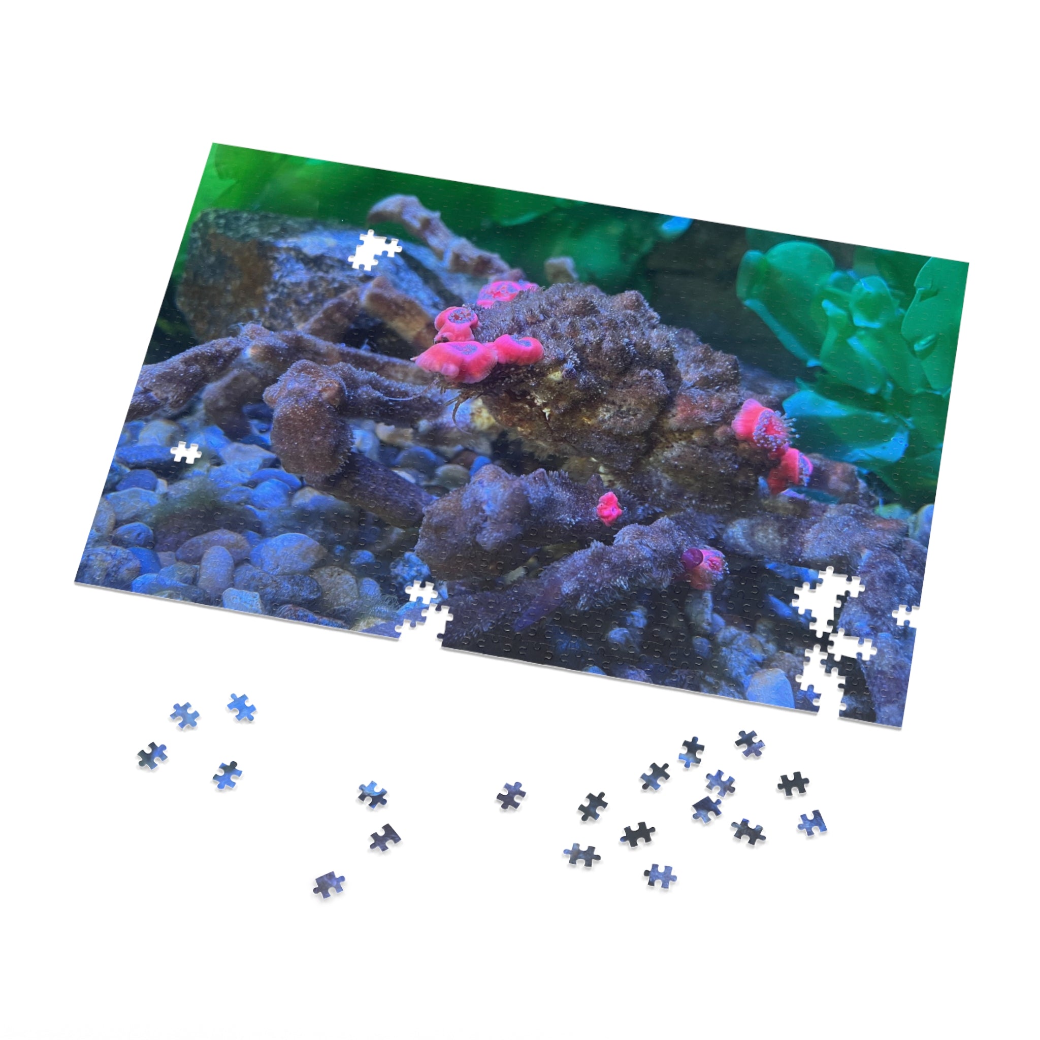 Decorator Crab Jigsaw Puzzle — Marine Life Puzzle with Colorful Anemones