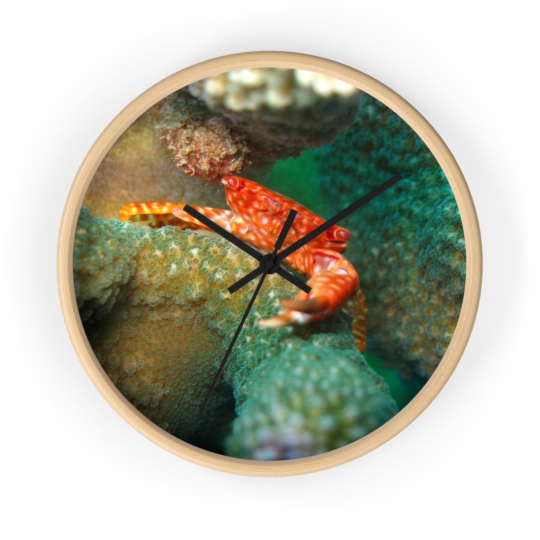 Coral Reef Crab Wall Clock — Vibrant Underwater Ocean Decor