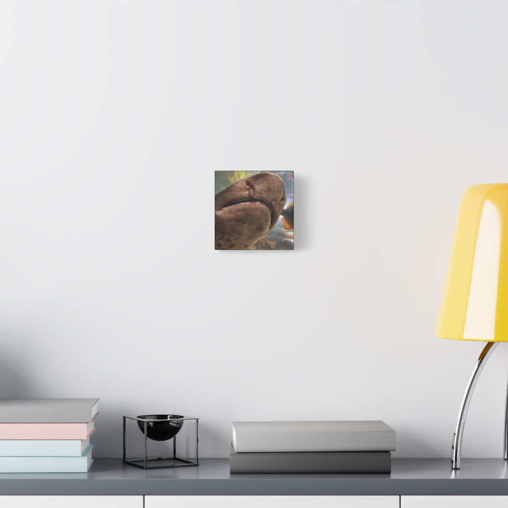 Swell Shark Close-Up Matte Canvas Print — Stretched 1.25" Wall Art