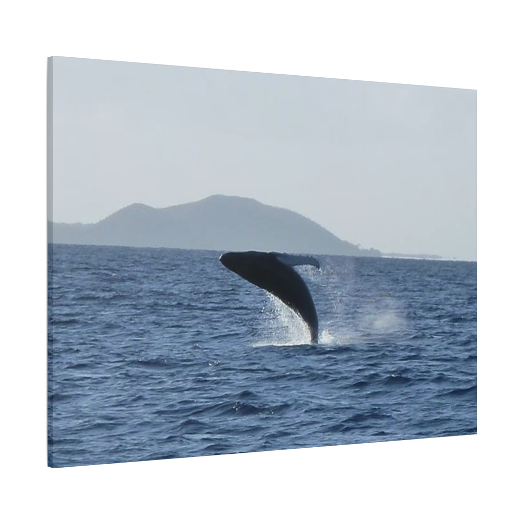 Humpback Whale Breach Matte Canvas Wall Art
