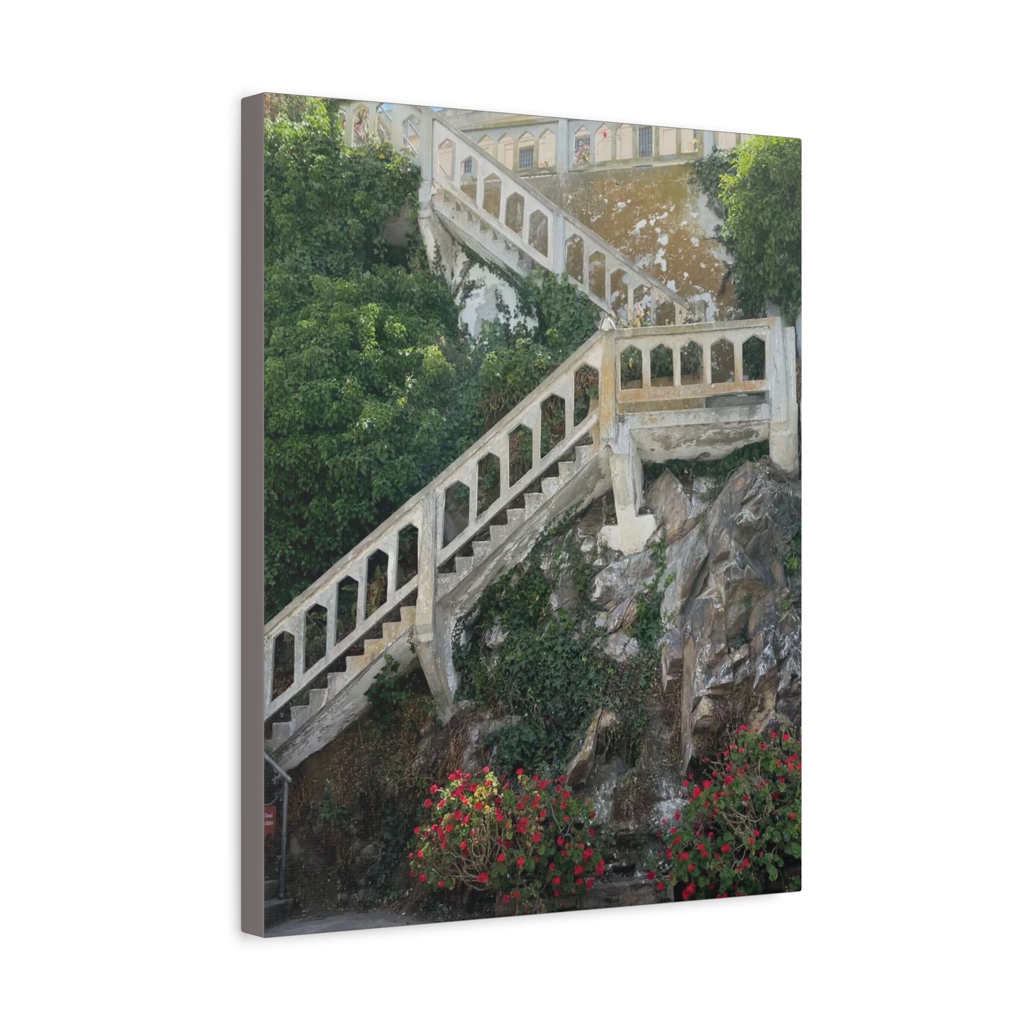Mediterranean Staircase Matte Canvas Wall Art — Botanical Steps Landscape Print