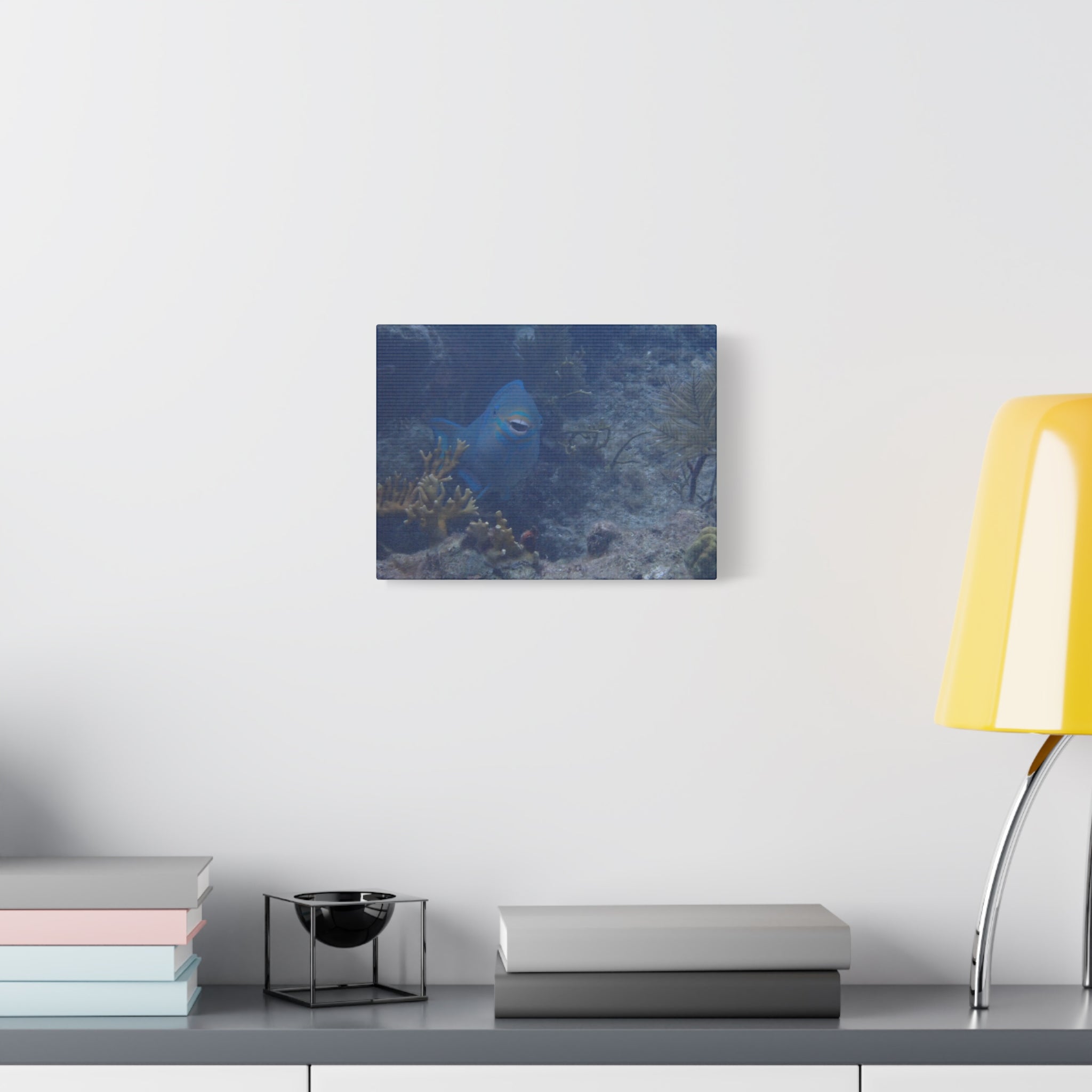 Underwater Parrotfish Canvas Print — Tropical Reef Wall Art