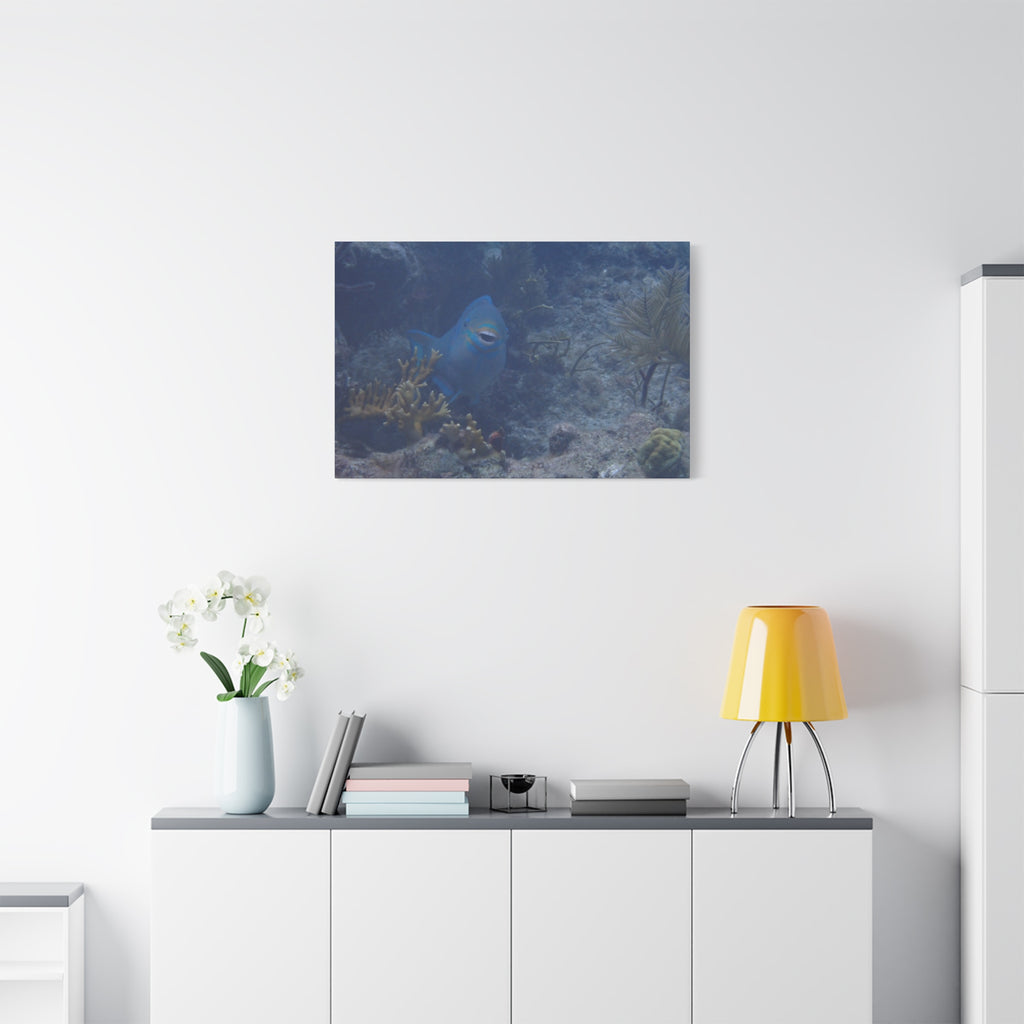 Underwater Parrotfish Canvas Print — Tropical Reef Wall Art