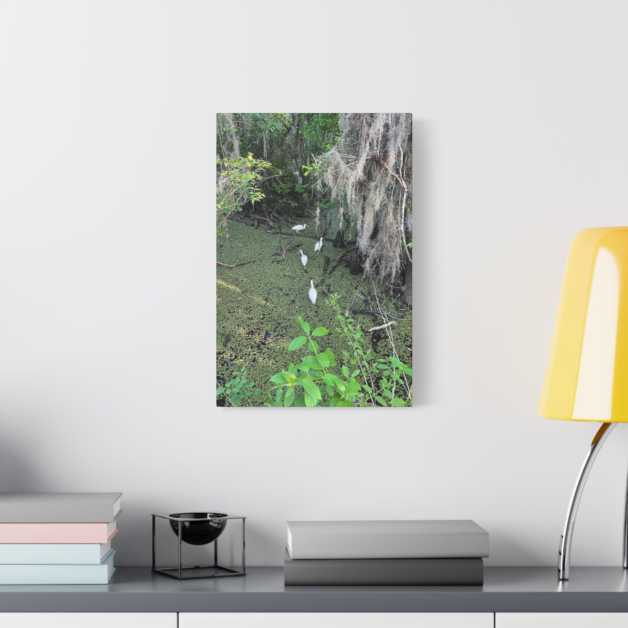 Swamp Egrets Canvas Print — Matte Stretched Nature Wall Art