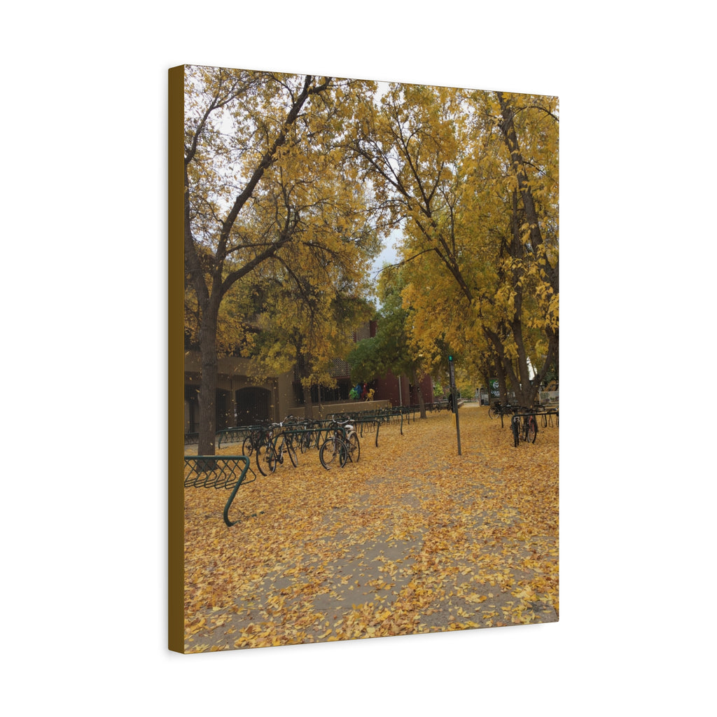 Autumn Campus Walk Matte Canvas Print