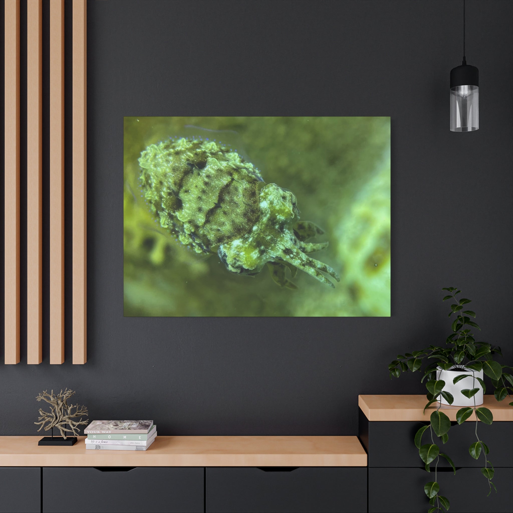 Dwarf Cuttlefish Canvas Print — Matte Stretched Sea Life Wall Art