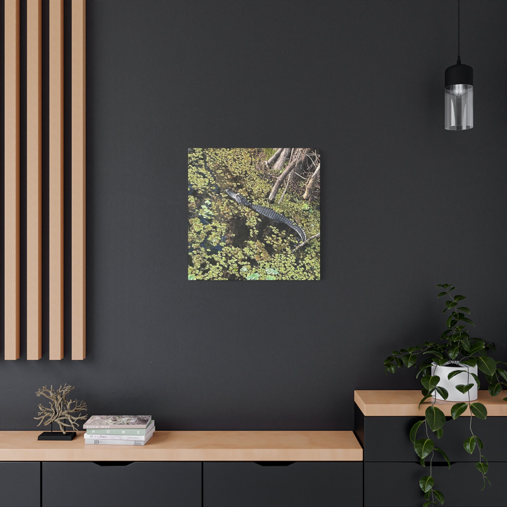 Alligator Photography Canvas Print — Matte Stretched Wall Art