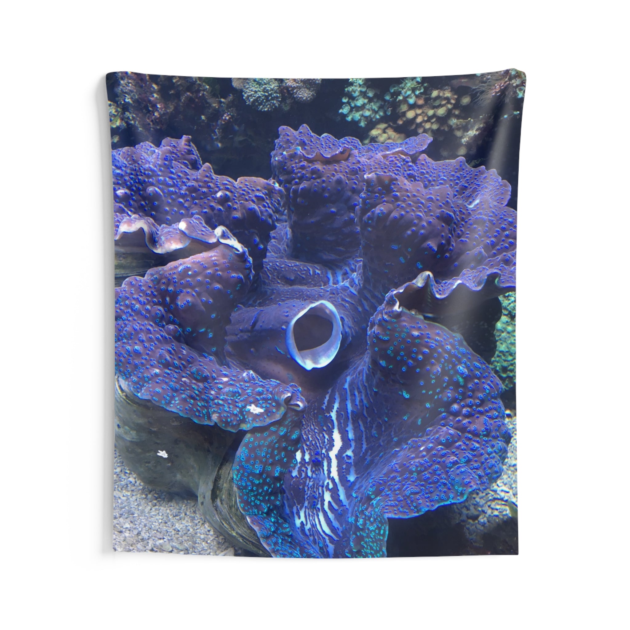 Giant Clam Wall Tapestry — Underwater Ocean Decor