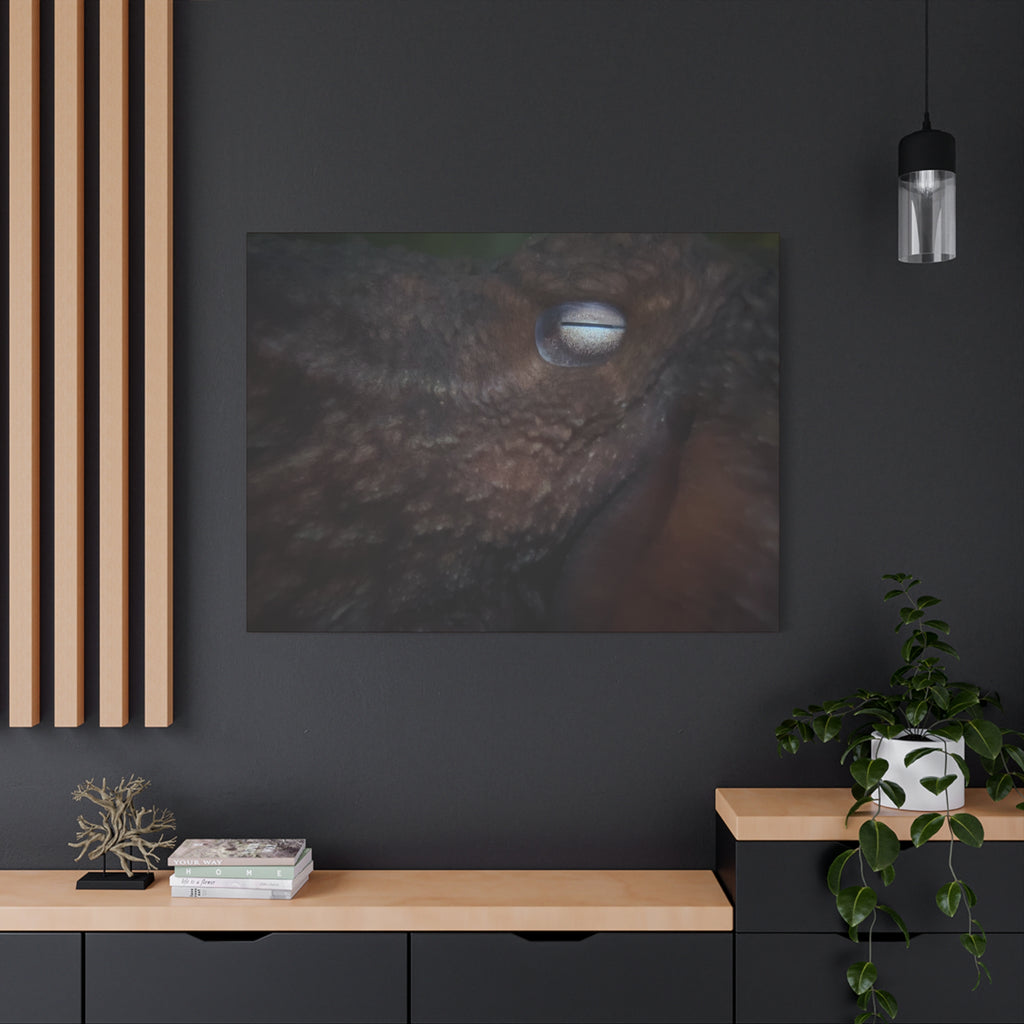 Octopus Eye Matte Canvas Print — Deep Sea Photography Wall Art