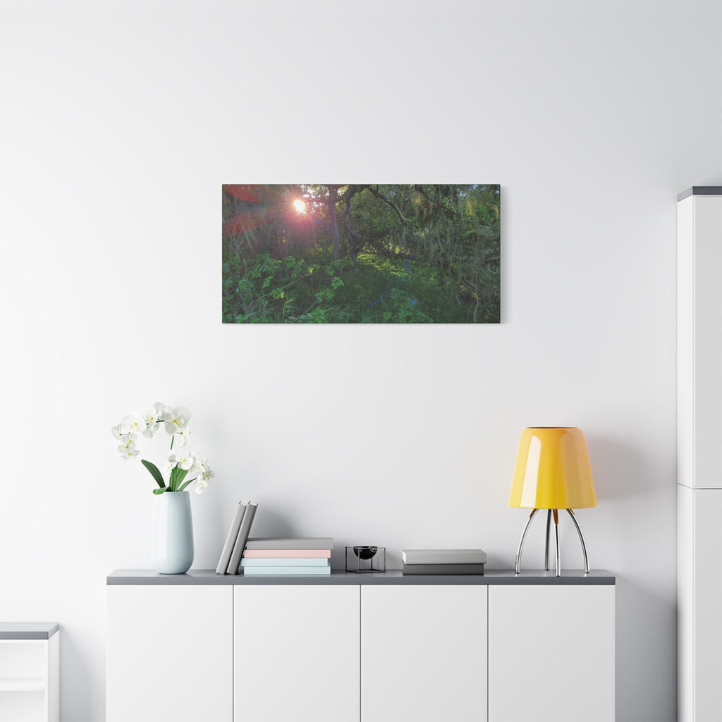 Sunlit Mossy Forest Canvas — Matte Stretched Wall Art