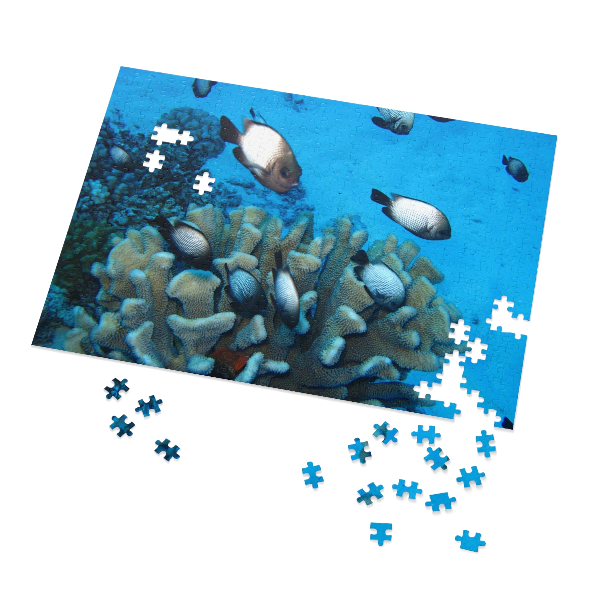 Coral Reef Fish Jigsaw Puzzle (with Tin) - Ocean Puzzle Gift