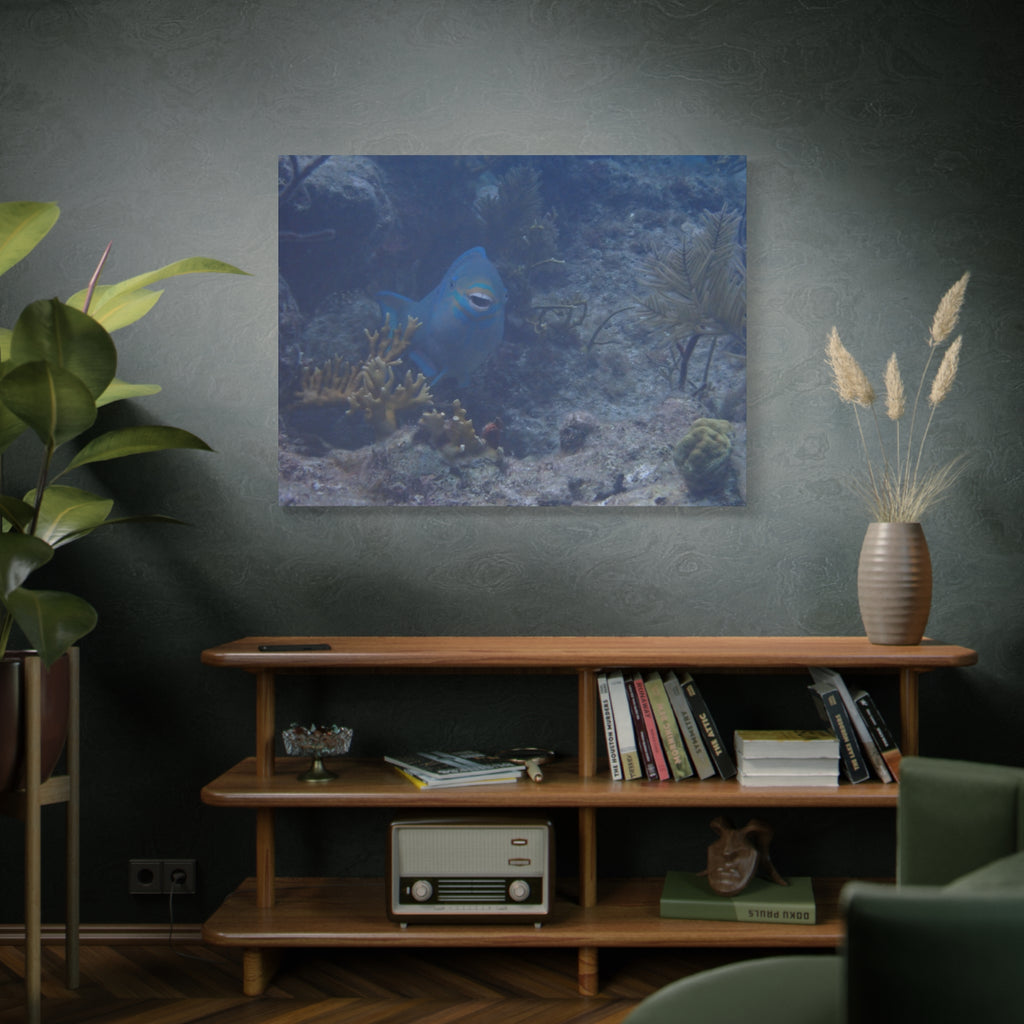 Underwater Parrotfish Canvas Print — Tropical Reef Wall Art