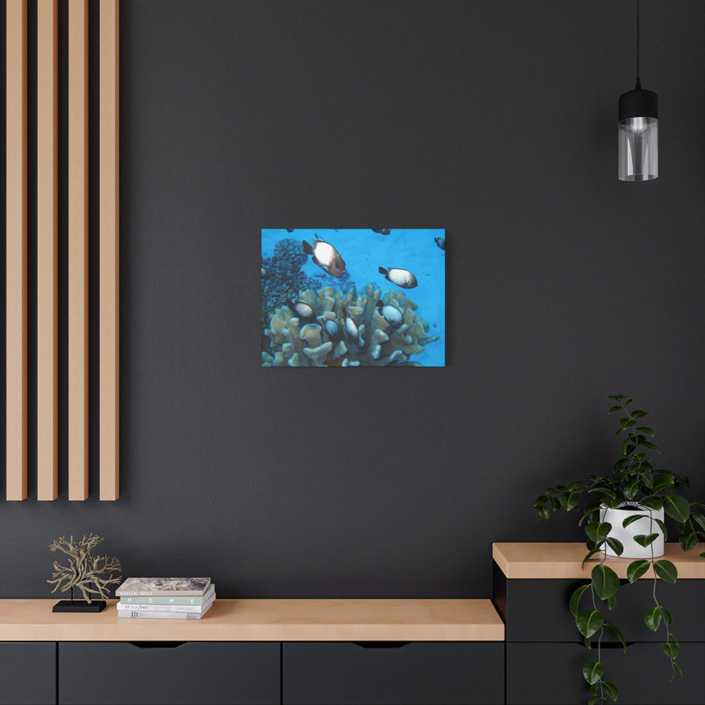 Underwater Coral Reef Canvas Wall Art — Tropical Fish Matte Stretched Canvas