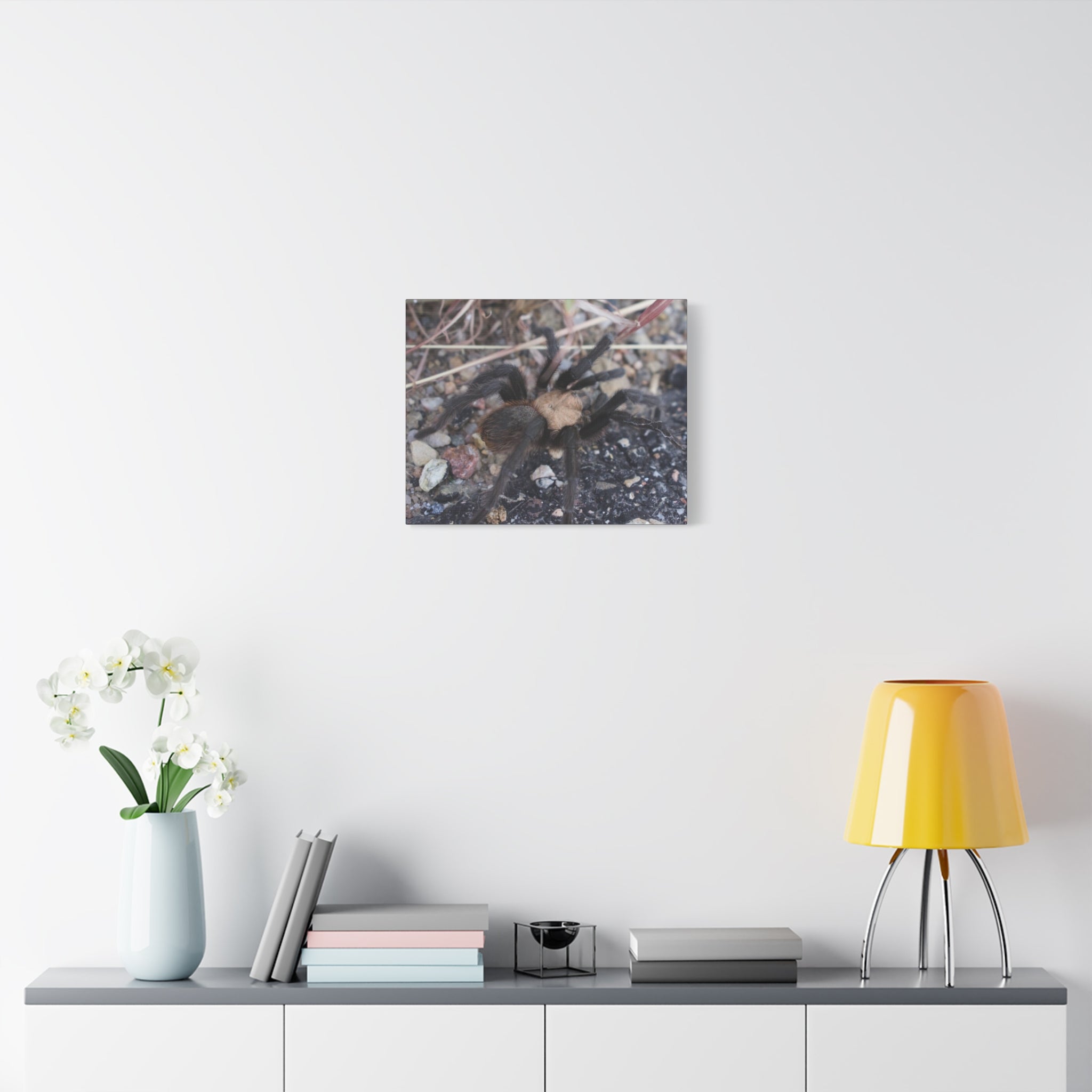 Tarantula Canvas Print — Matte Stretched Wall Art