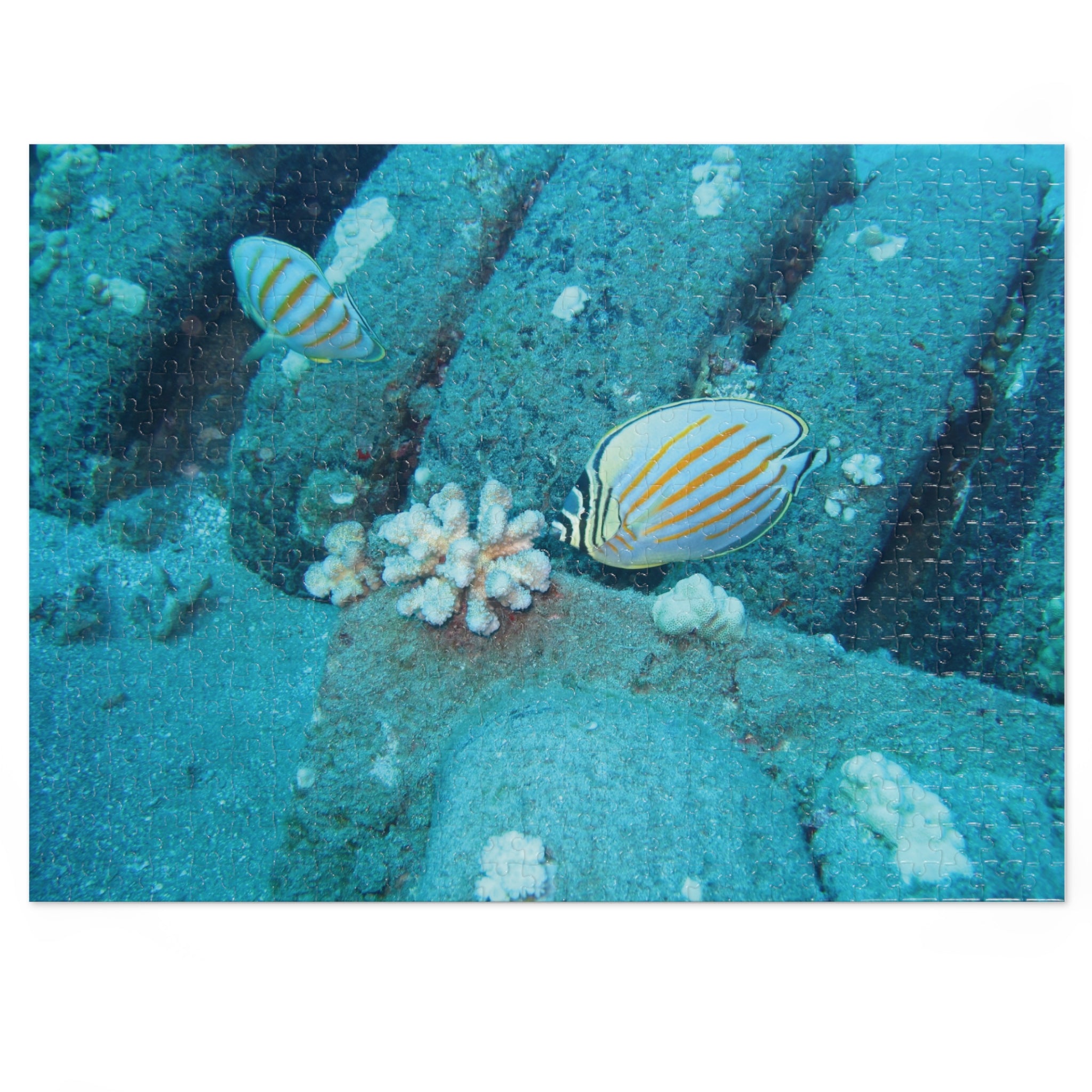 Underwater Butterflyfish Jigsaw Puzzle with Tin – Ocean Coral Reef