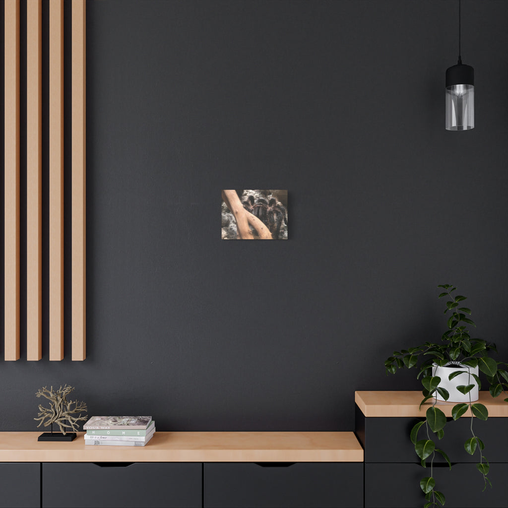 Tarantula Staredown Matte Canvas Print — Naturalistic Arachnid Wall Art