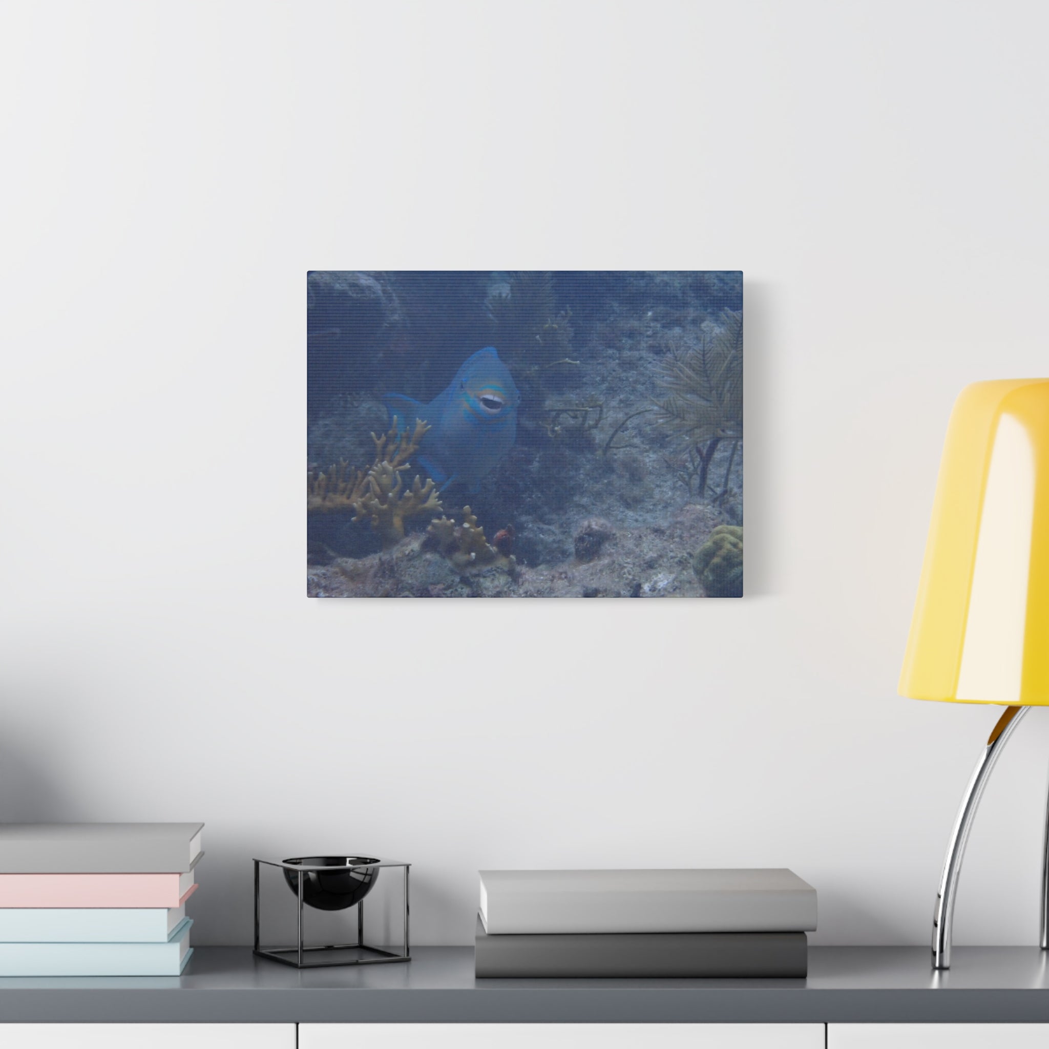 Underwater Parrotfish Canvas Print — Tropical Reef Wall Art