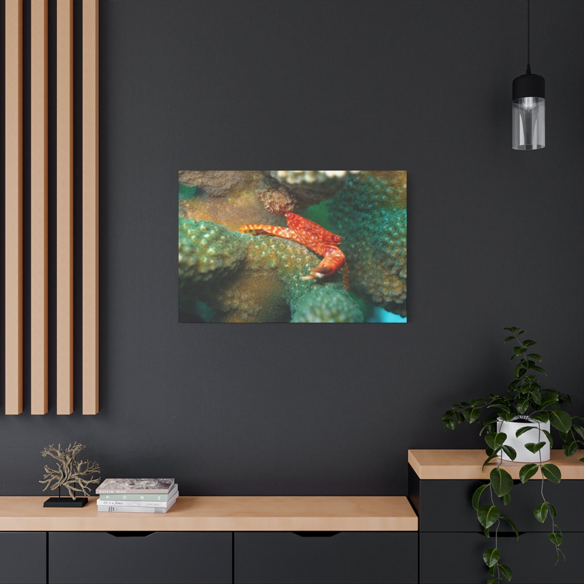 Coral Reef Crab Matte Canvas Print — Underwater Marine Wall Art