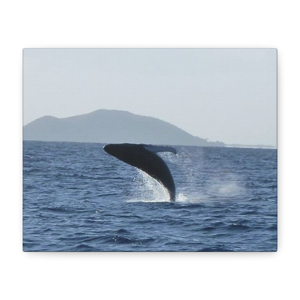 Humpback Whale Breach Matte Canvas Wall Art