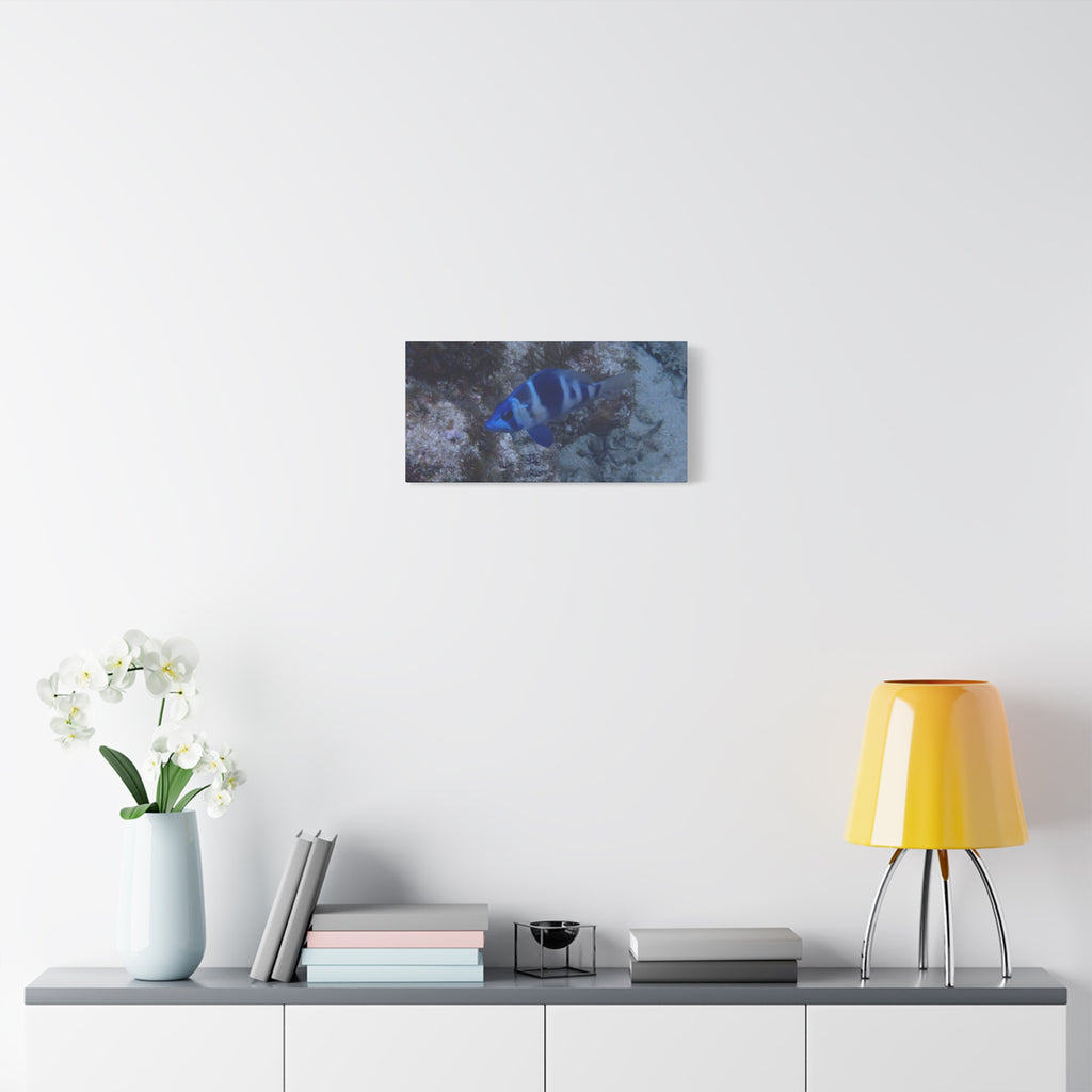 Indigo Hamlet Canvas Print — Underwater Matte Stretched Wall Art