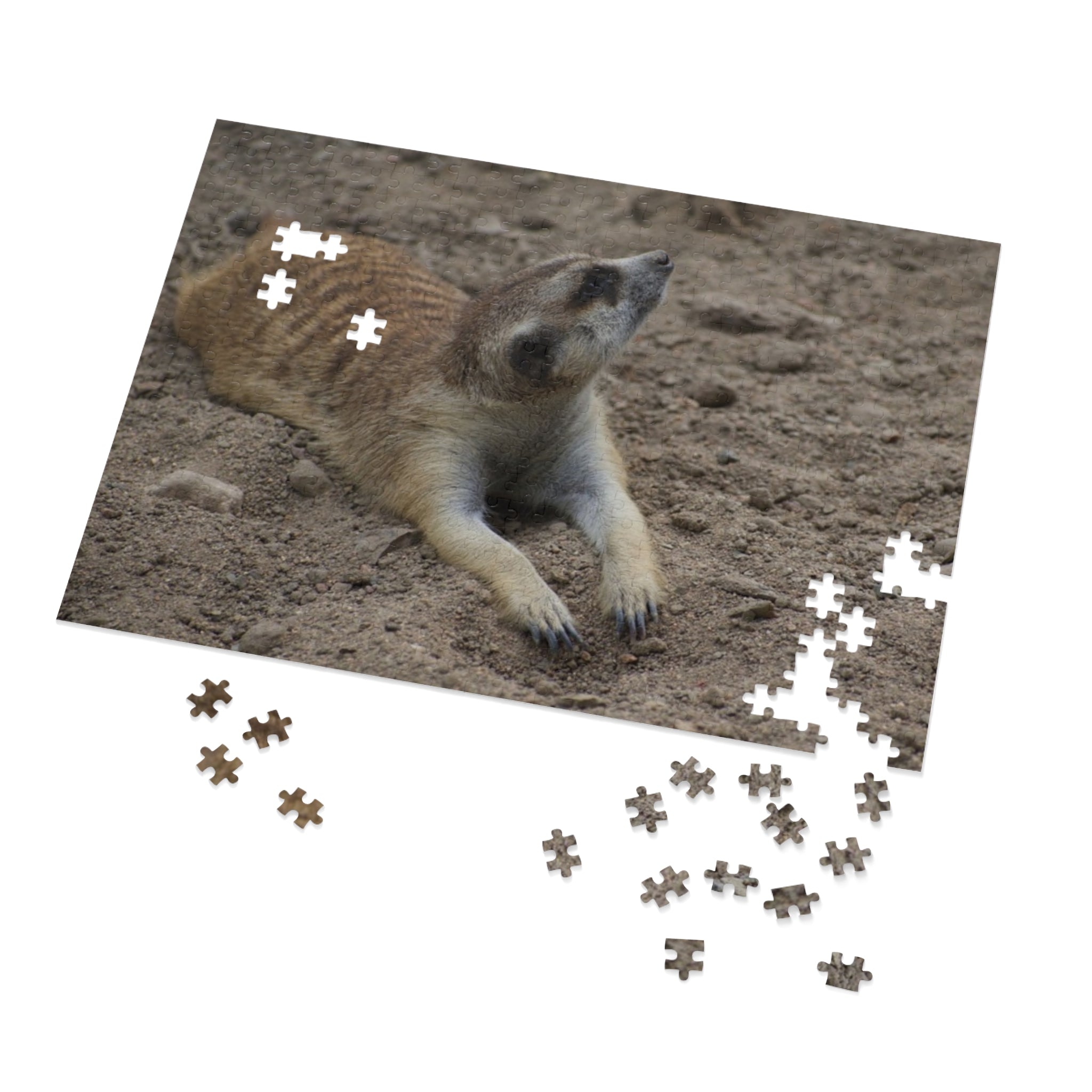 Meerkat Jigsaw Puzzle with Tin – Wildlife Puzzle Gift